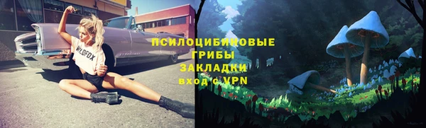мдпв Новодвинск