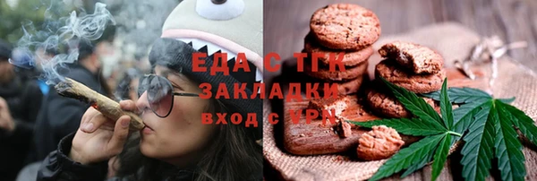 индика Нея