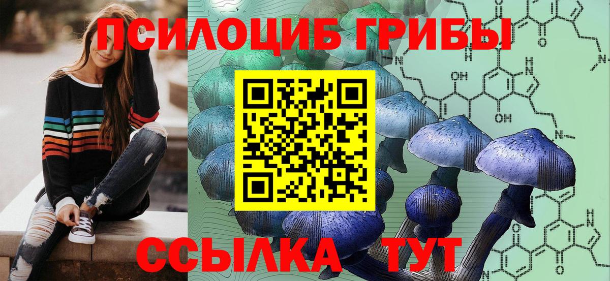 Галлюциногенные грибы GOLDEN TEACHER  Вход с VPN  Рославль 