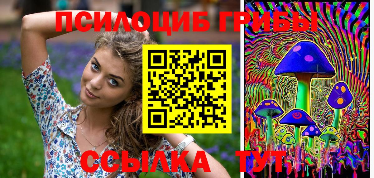 Псилоцибиновые грибы Cubensis Рославль